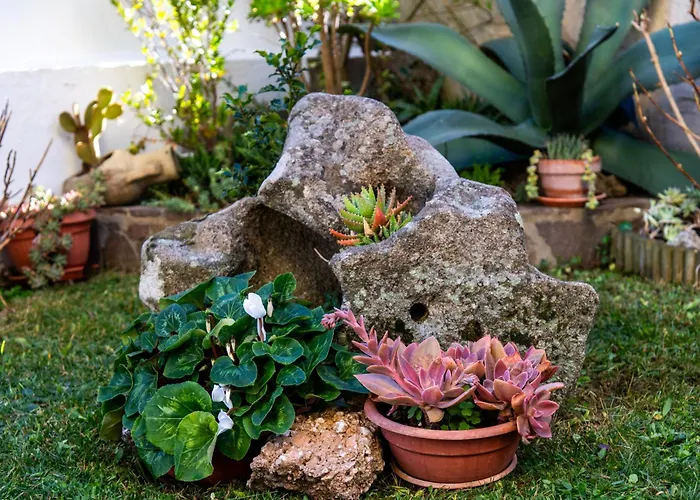 Frühstückspension S'ortensia Mamoiada