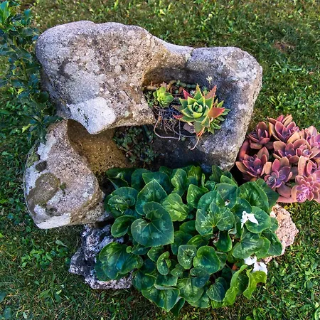 Oda ve Kahvaltı S'ortensia 3*