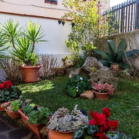 S'ortensia Oda ve Kahvaltı