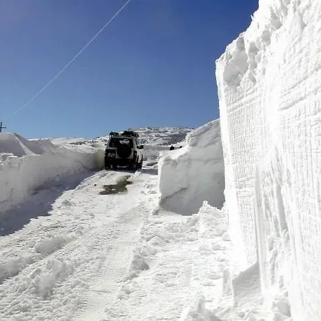 Oda ve Kahvaltı S'ortensia Mamoiada