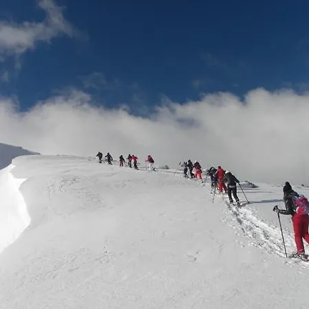 Alojamento de Acomodação e Pequeno-almoço S'ortensia