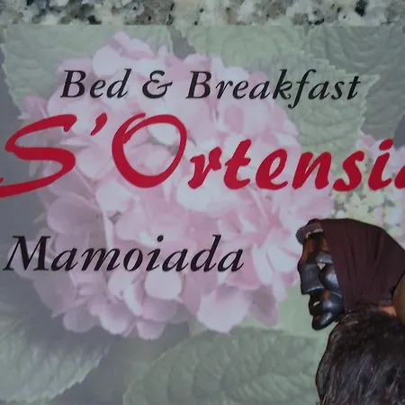 Bed & Breakfast S'ortensia *
